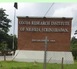 Three Kidnapped CRIN Workers Regain Freedom in Oyo